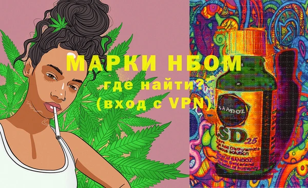 спиды Нефтекумск