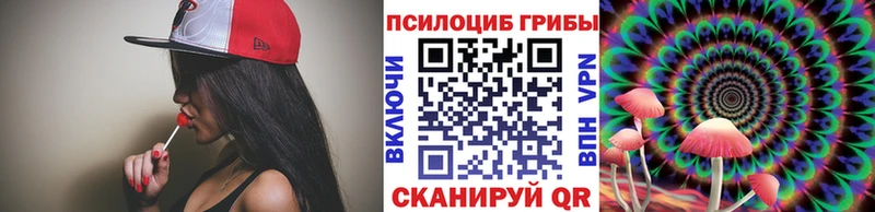 darknet как зайти Пошехонье Галлюциногенные грибы прущие грибы